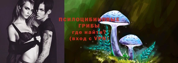 прущие крисы Балабаново
