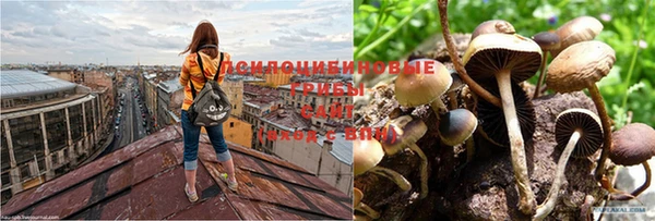 прущие крисы Балабаново