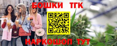 СК Тула